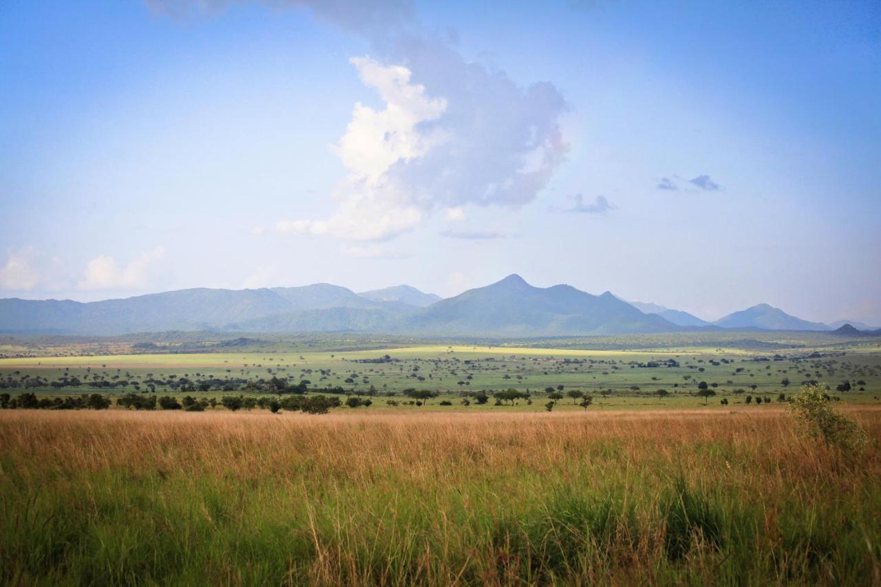Apoka Safari Lodge Loitanit Esterno foto